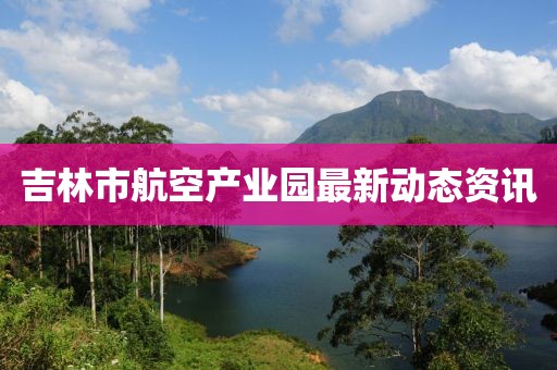 吉林市航空产业园最新动态资讯