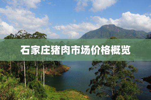 石家庄猪肉市场价格概览