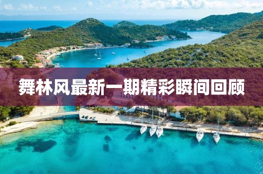 舞林风最新一期精彩瞬间回顾
