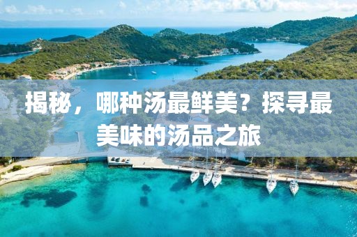 揭秘，哪种汤最鲜美？探寻最美味的汤品之旅