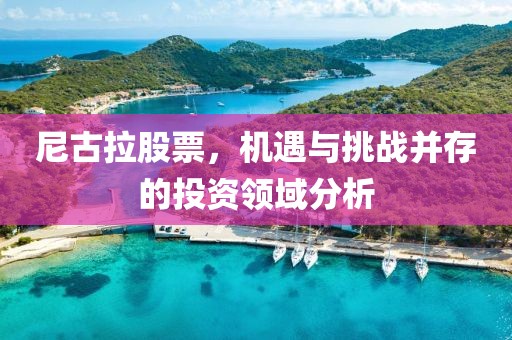 尼古拉股票，机遇与挑战并存的投资领域分析