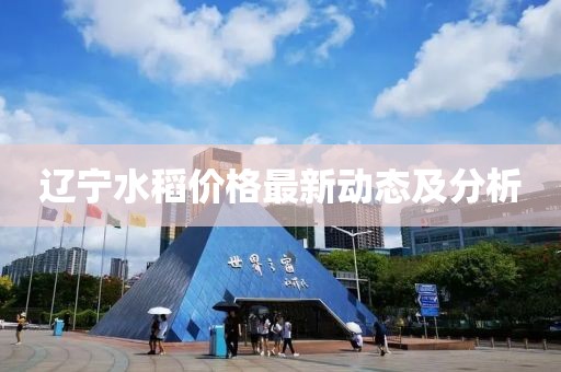 辽宁水稻价格最新动态及分析