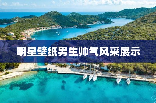 明星壁纸男生帅气风采展示