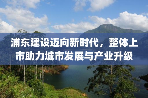 浦东建设迈向新时代，整体上市助力城市发展与产业升级