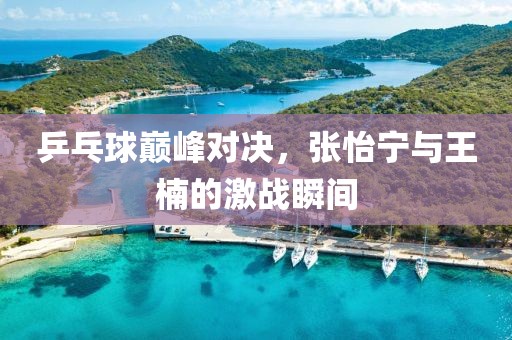 乒乓球巅峰对决，张怡宁与王楠的激战瞬间