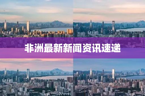 非洲最新新闻资讯速递
