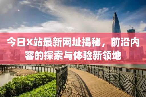 今日X站最新网址揭秘，前沿内容的探索与体验新领地