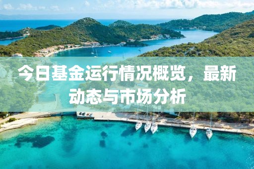 今日基金运行情况概览，最新动态与市场分析