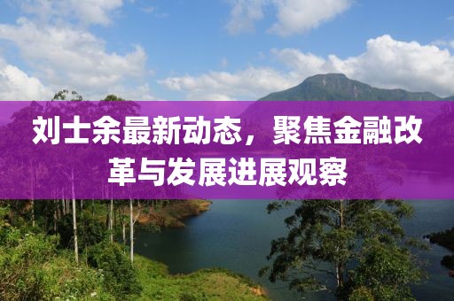 刘士余最新动态，聚焦金融改革与发展进展观察