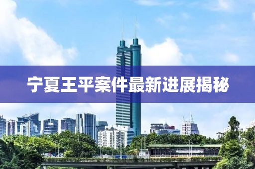 宁夏王平案件最新进展揭秘