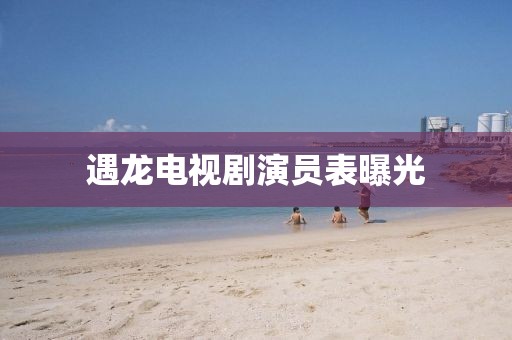遇龙电视剧演员表曝光