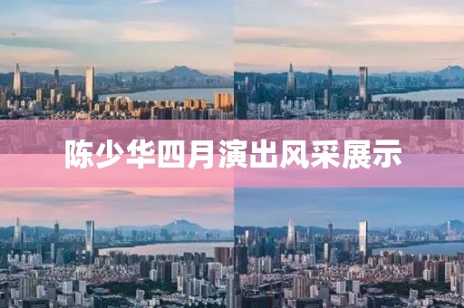 陈少华四月演出风采展示