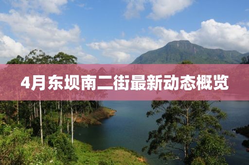 4月东坝南二街最新动态概览