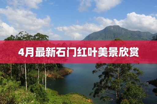 4月最新石门红叶美景欣赏