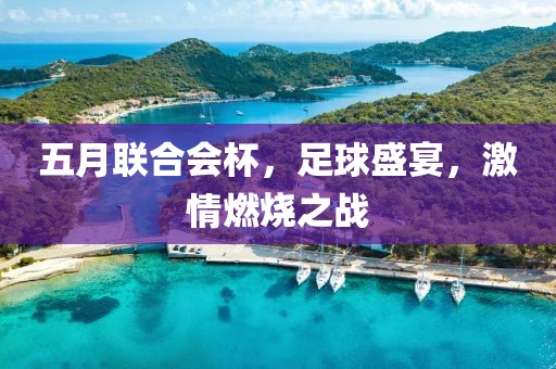 五月联合会杯，足球盛宴，激情燃烧之战