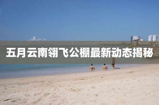 2025年5月8日 第9页