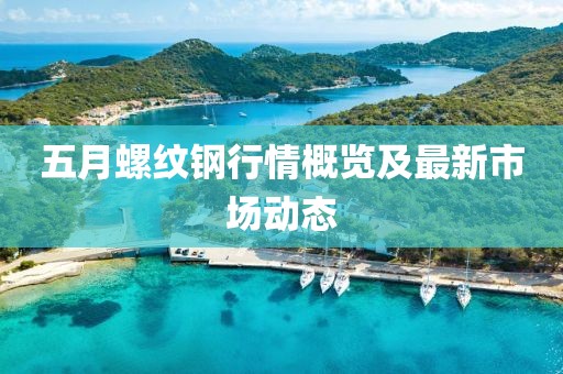 五月螺纹钢行情概览及最新市场动态
