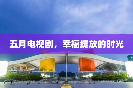 五月电视剧，幸福绽放的时光