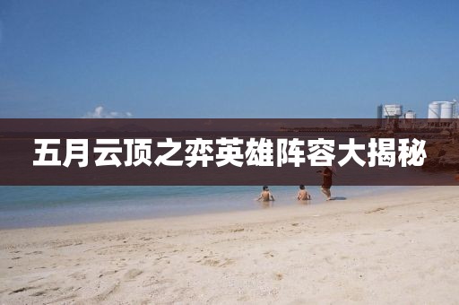 五月云顶之弈英雄阵容大揭秘