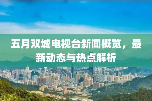 五月双城电视台新闻概览，最新动态与热点解析