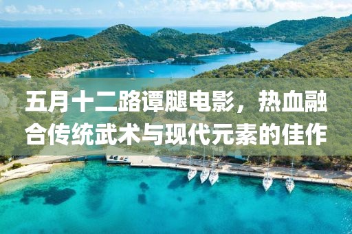 五月十二路谭腿电影，热血融合传统武术与现代元素的佳作