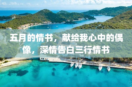 五月的情书，献给我心中的偶像，深情告白三行情书