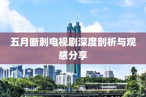 五月断刺电视剧深度剖析与观感分享