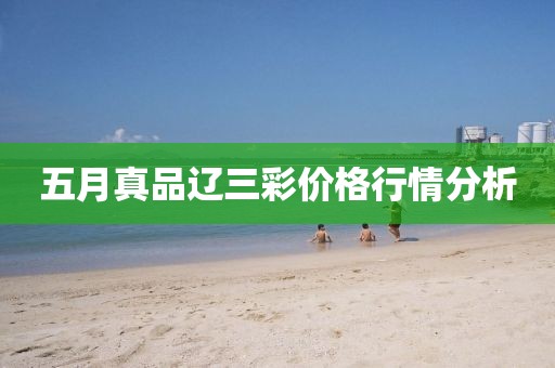 五月真品辽三彩价格行情分析