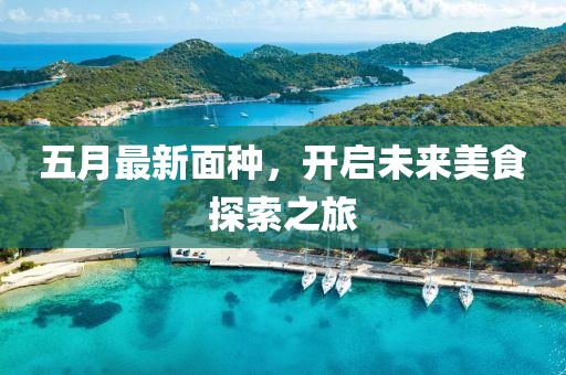 五月最新面种，开启未来美食探索之旅