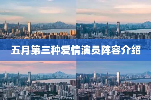 五月第三种爱情演员阵容介绍
