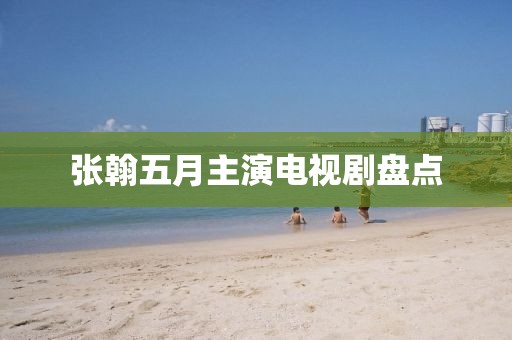 张翰五月主演电视剧盘点