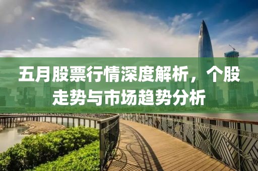 五月股票行情深度解析，个股走势与市场趋势分析