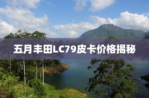 五月丰田LC79皮卡价格揭秘