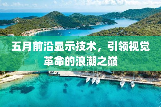 五月前沿显示技术，引领视觉革命的浪潮之巅