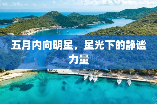 五月内向明星，星光下的静谧力量