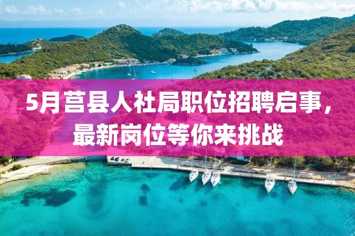 5月莒县人社局职位招聘启事，最新岗位等你来挑战