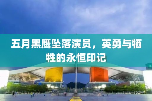 五月黑鹰坠落演员，英勇与牺牲的永恒印记