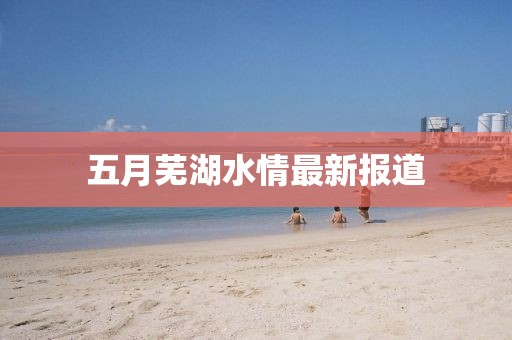 五月芜湖水情最新报道