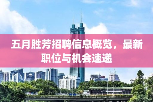 五月胜芳招聘信息概览，最新职位与机会速递