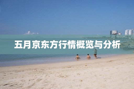 五月京东方行情概览与分析