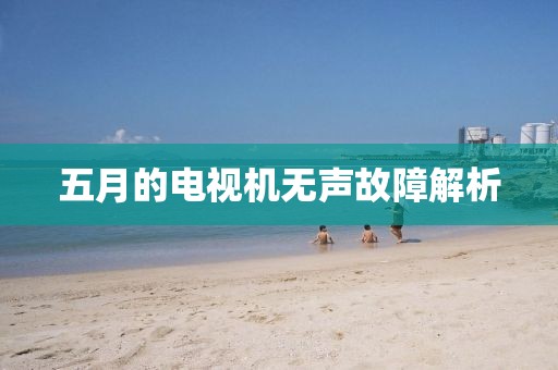 五月的电视机无声故障解析