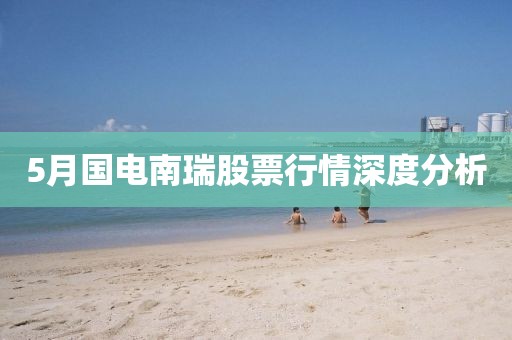 5月国电南瑞股票行情深度分析