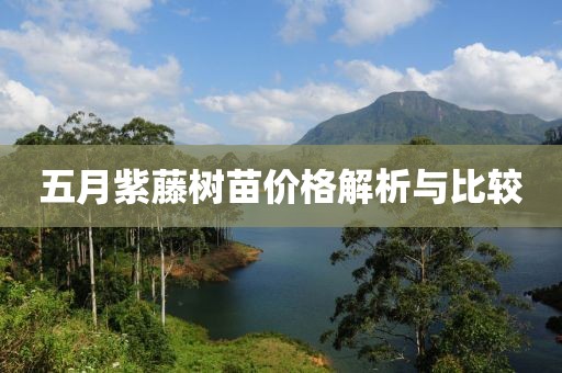 五月紫藤树苗价格解析与比较