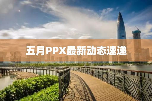 五月PPX最新动态速递
