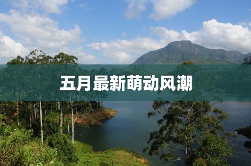 五月最新萌动风潮
