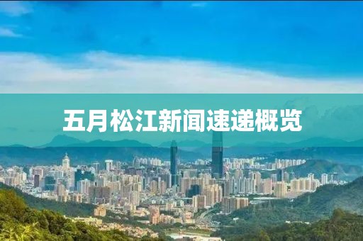 五月松江新闻速递概览