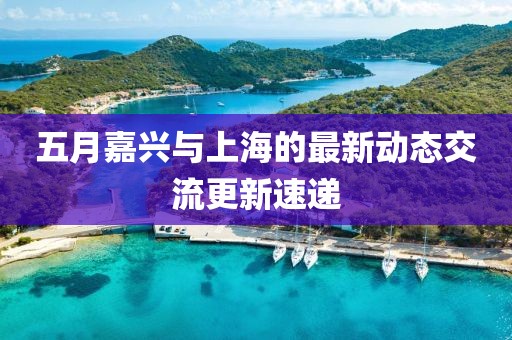 五月嘉兴与上海的最新动态交流更新速递