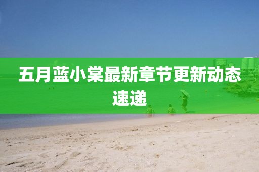 五月蓝小棠最新章节更新动态速递