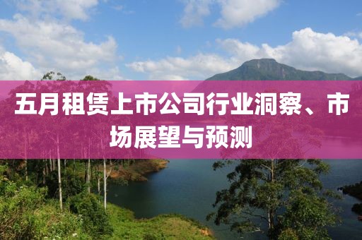 五月租赁上市公司行业洞察、市场展望与预测