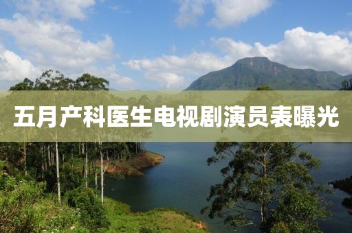 五月产科医生电视剧演员表曝光